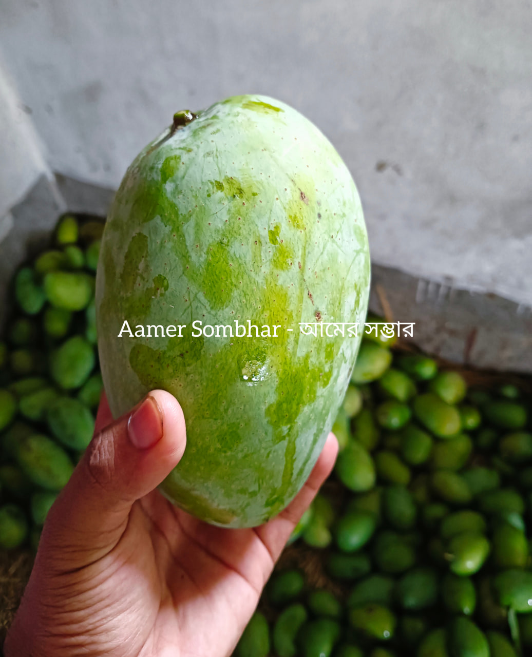তাজা ফজলি আম