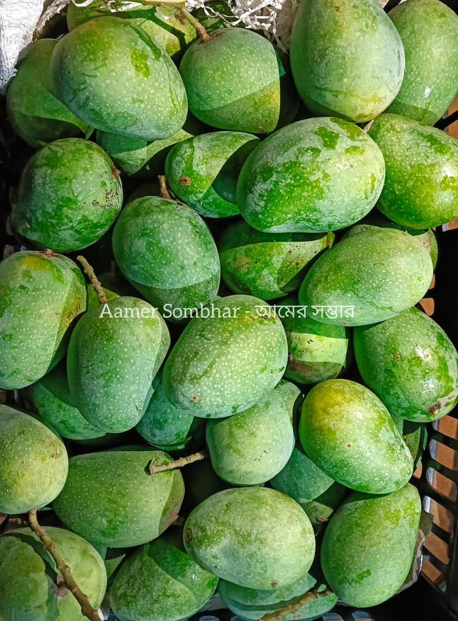 তাজা গোপালভোগ আম